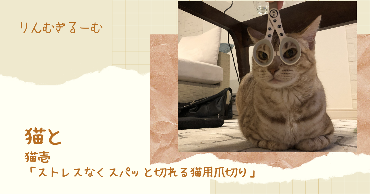 好評 猫壱 ストレスなくスパッと切れる猫用爪切り 日本製 necoichi broadcastrf.com